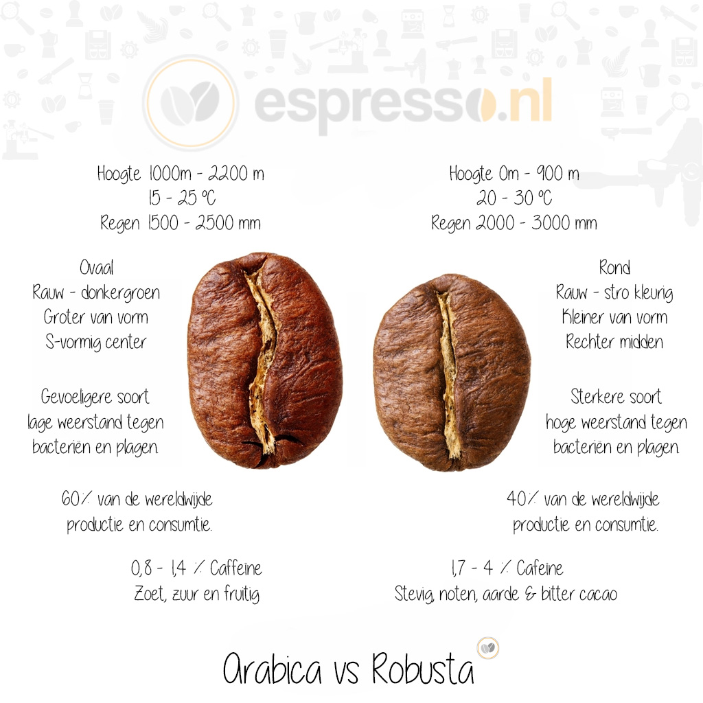 Verschil Aravica Robusta