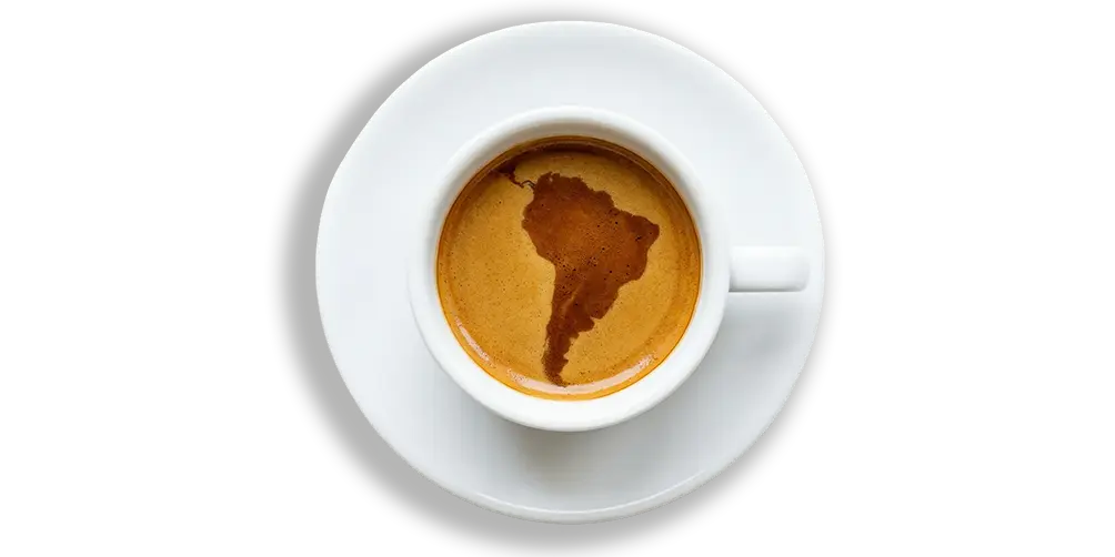 Zuid-Amerikaanse-koffiebonen caffe tiramisu classico